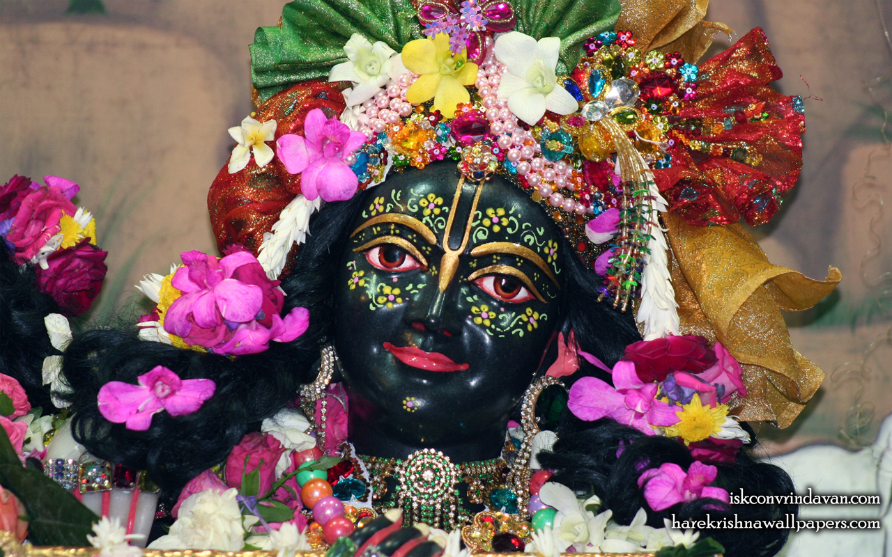Sri Krishna Close up Wallpaper (008) Size 1280x800 Download