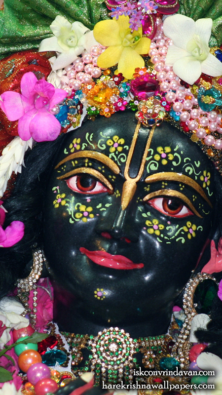 Sri Krishna Close up Wallpaper (008) Size 450x800 Download