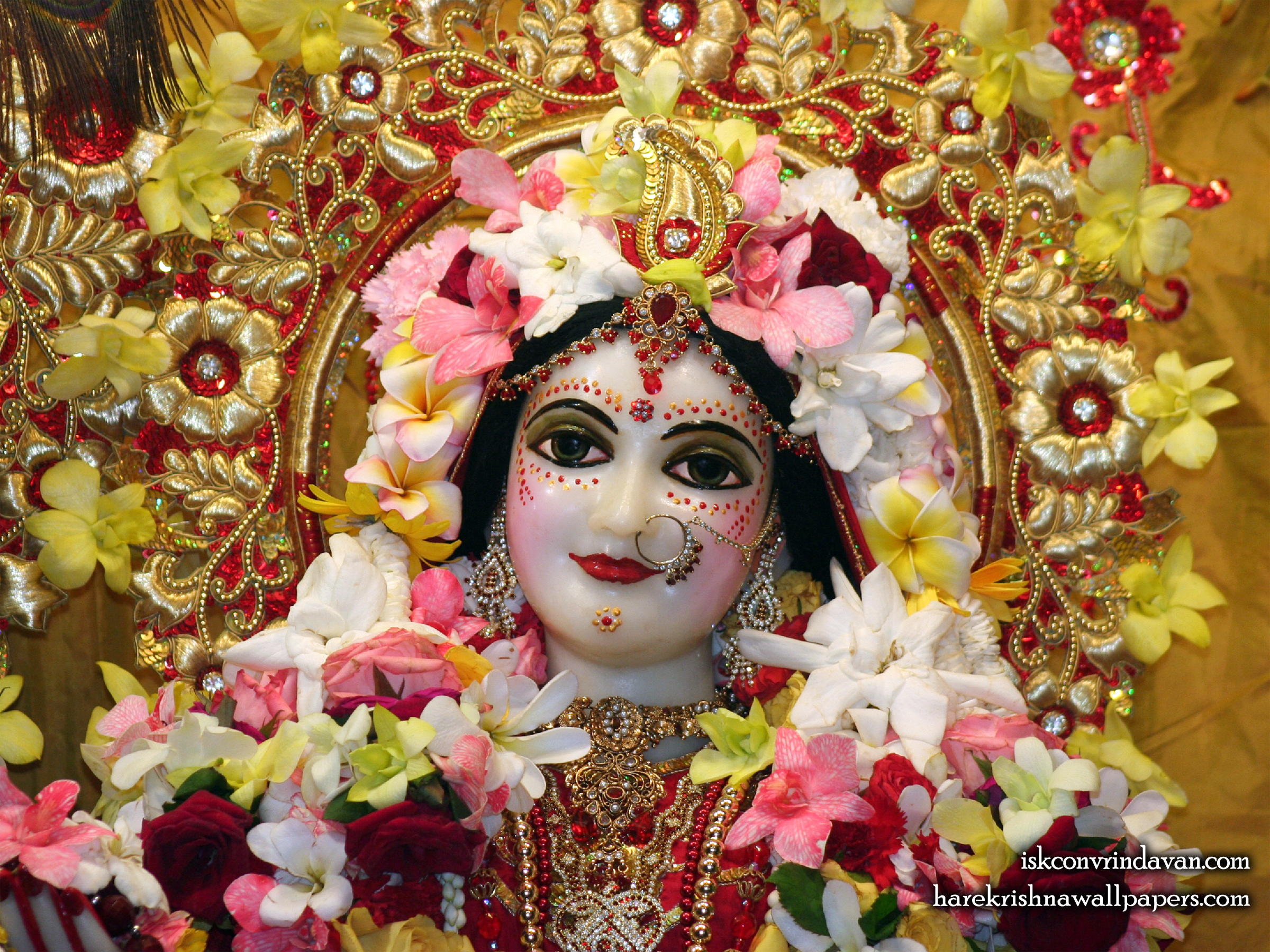 Sri Radha Close up Wallpaper (008) Size 2400x1800 Download