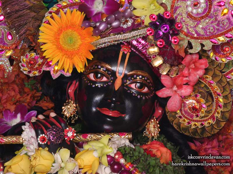 Sri Shyamsundar Close up Wallpaper (008)