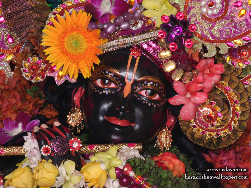 Sri Shyamsundar Close up Wallpaper (008) Size 1024x768 Download