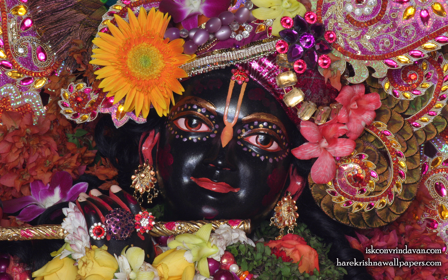 Sri Shyamsundar Close up Wallpaper (008) Size 1440x900 Download