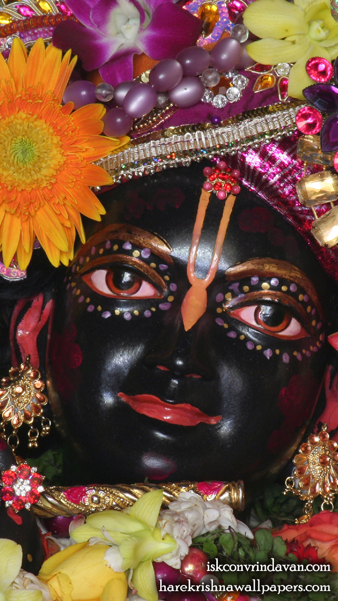 Sri Shyamsundar Close up Wallpaper (008) Size 675x1200 Download