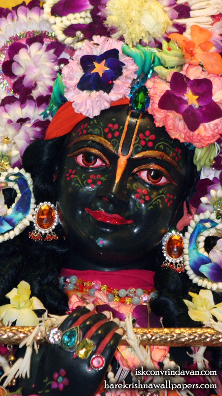 Sri Krishna Close up Wallpaper (009) Size 450x800 Download