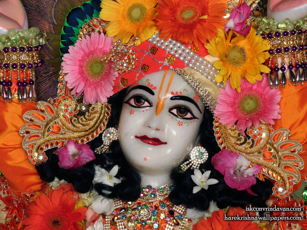Sri Gaura Close up Wallpaper (010) Size 1024x768 Download