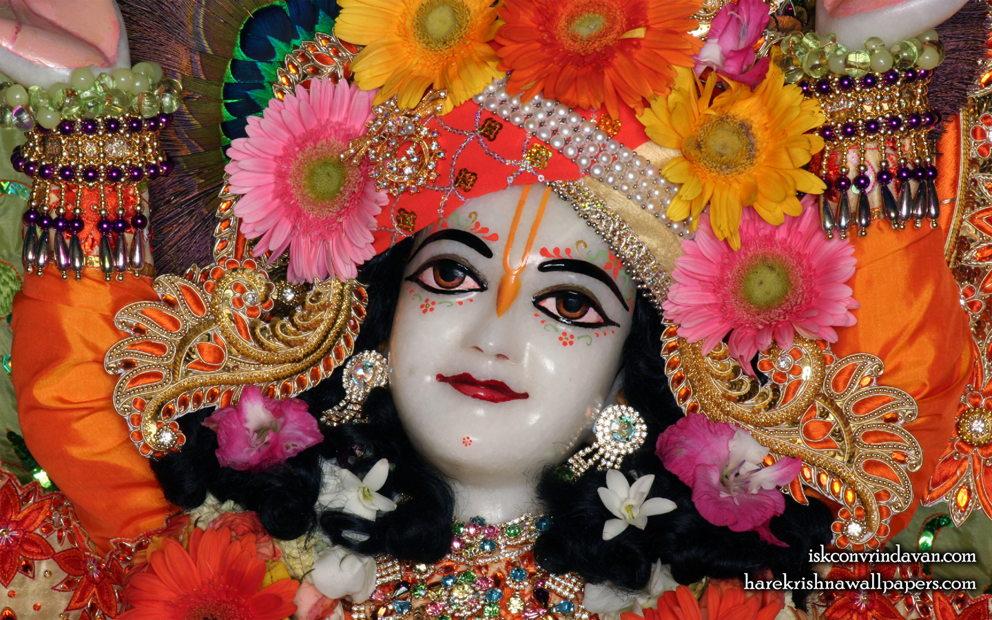 Sri Gaura Close up Wallpaper (010) Size 1440x900 Download