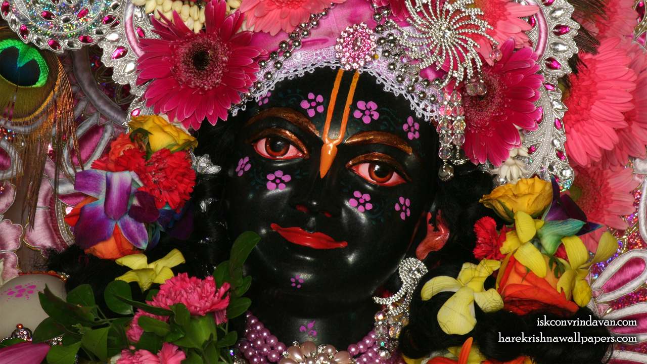Sri Krishna Close up Wallpaper (010) Size1280x720 Download