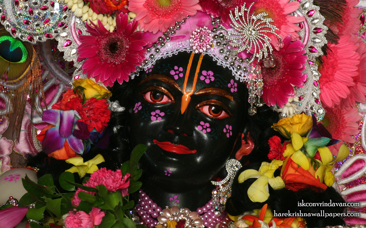 Sri Krishna Close up Wallpaper (010) Size 1280x800 Download