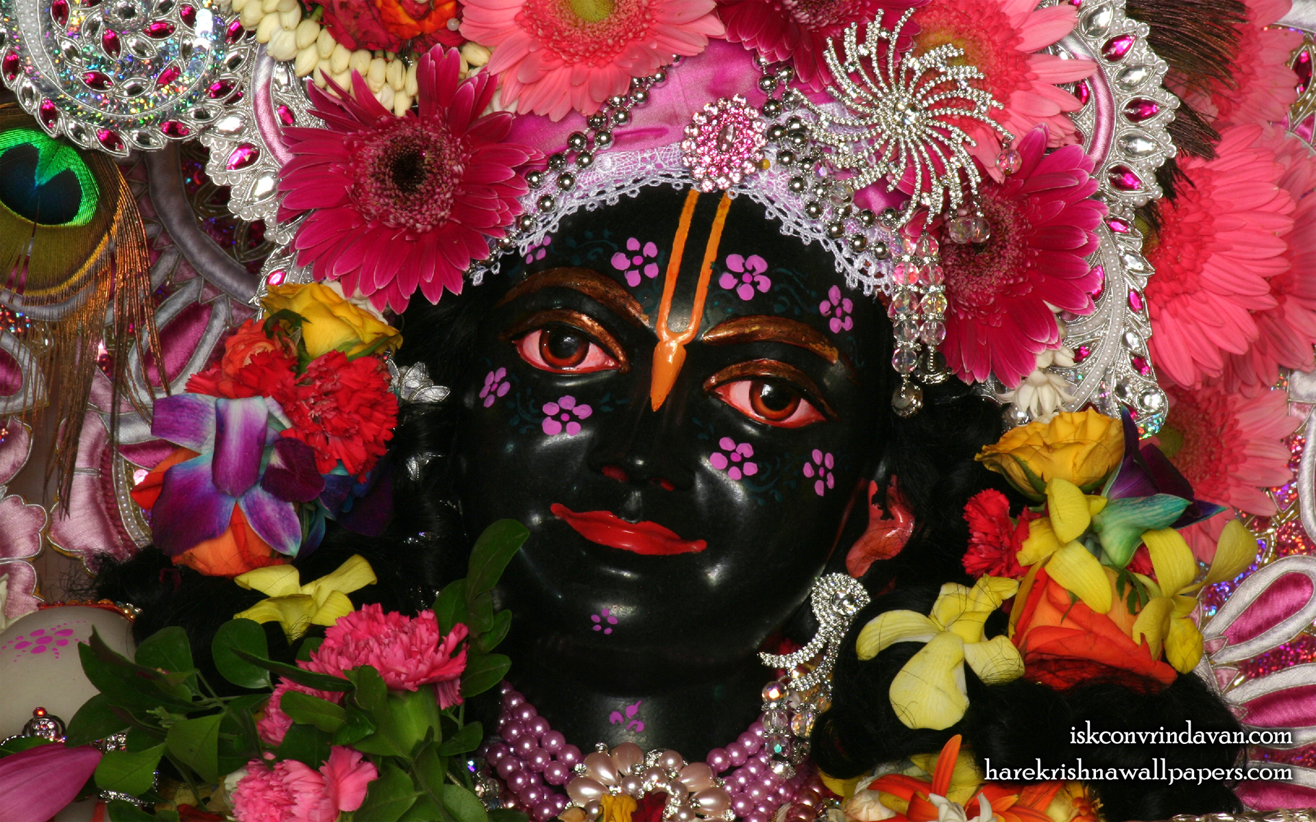 Sri Krishna Close up Wallpaper (010) Size 1920x1200 Download