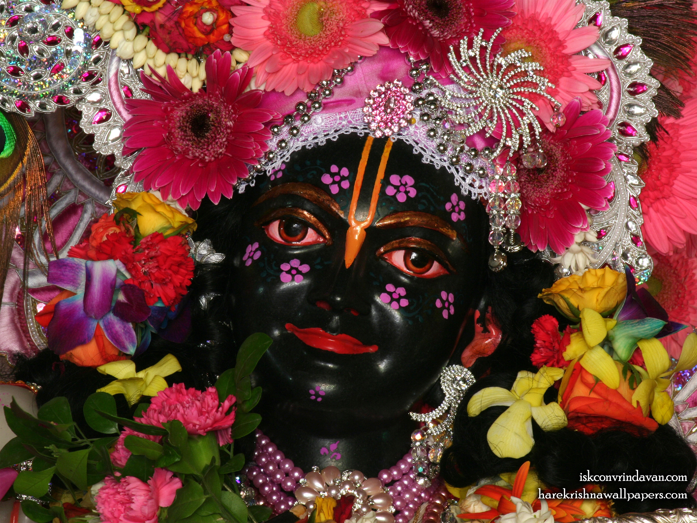 Sri Krishna Close up Wallpaper (010) Size 2400x1800 Download