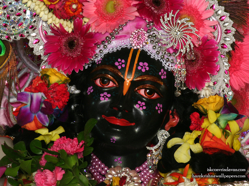 Sri Krishna Close up Wallpaper (010) Size 800x600 Download