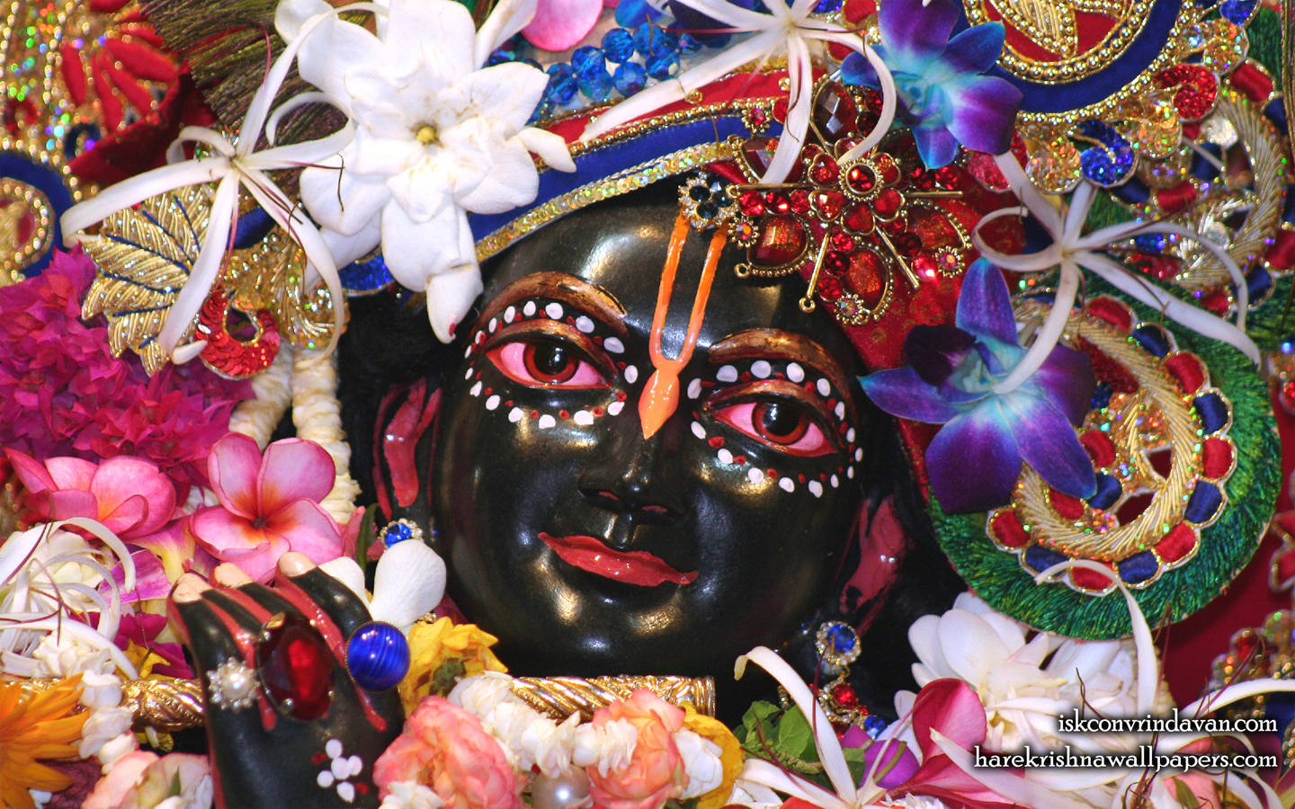Sri Shyamsundar Close up Wallpaper (010) Size 1440x900 Download