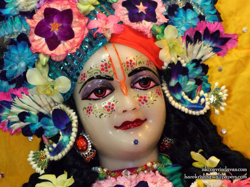 Sri Balaram Close up Wallpaper (011)