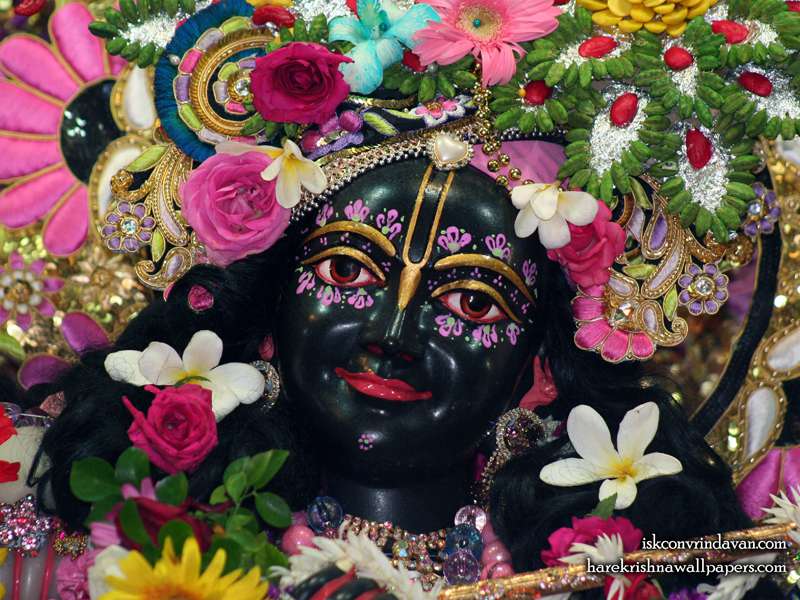 Sri Krishna Close up Wallpaper (011)