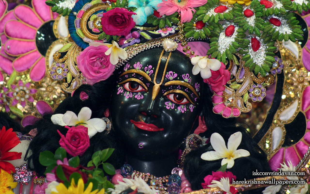 Sri Krishna Close up Wallpaper (011) Size 1280x800 Download