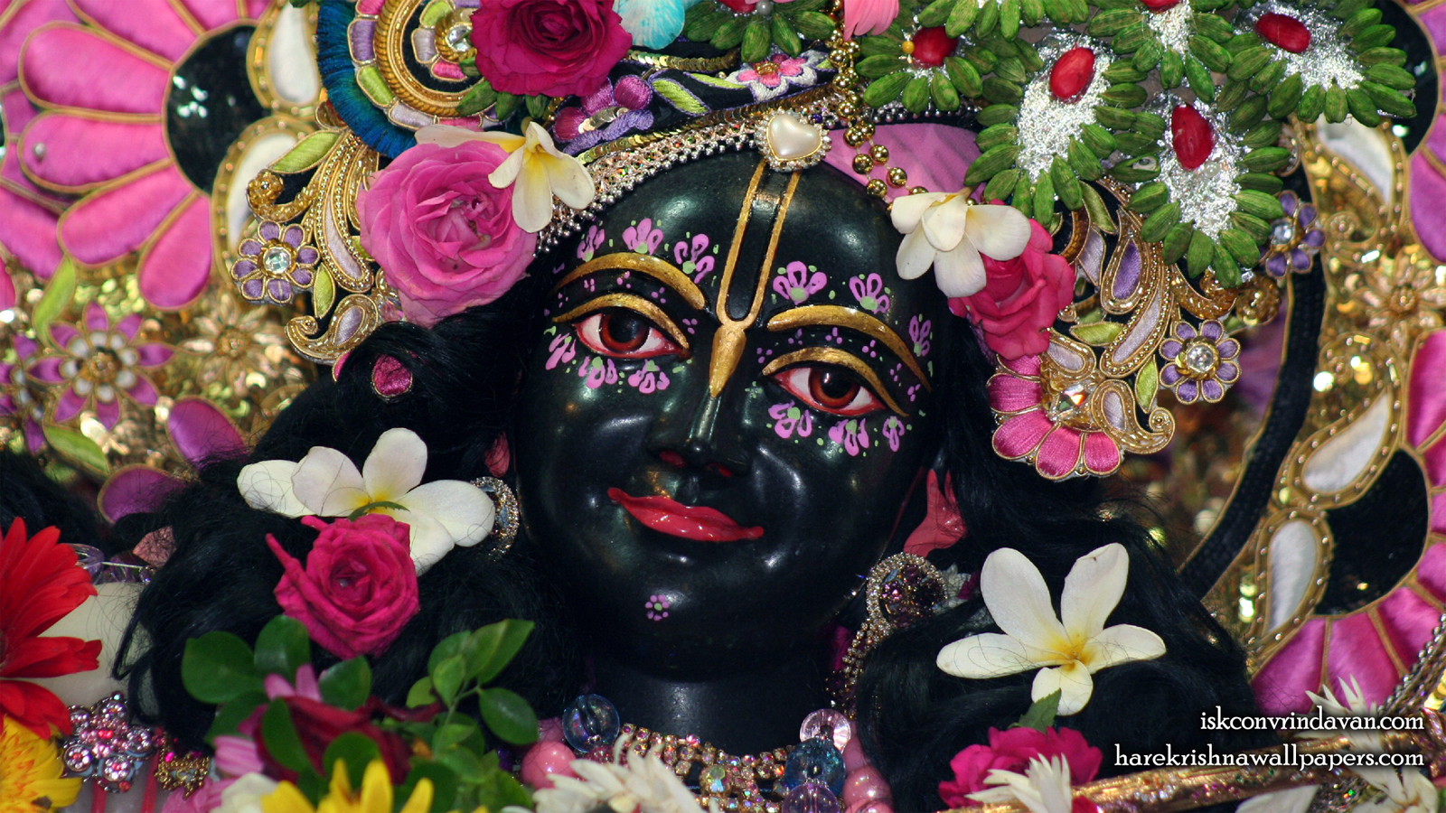 Sri Krishna Close up Wallpaper (011) Size 1600x900 Download
