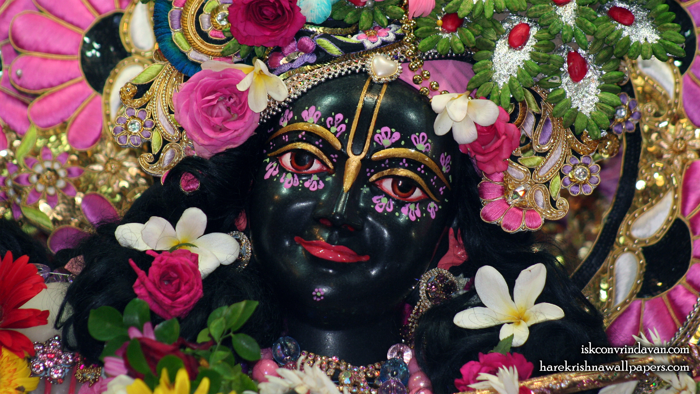 Sri Krishna Close up Wallpaper (011) Size 2400x1350 Download