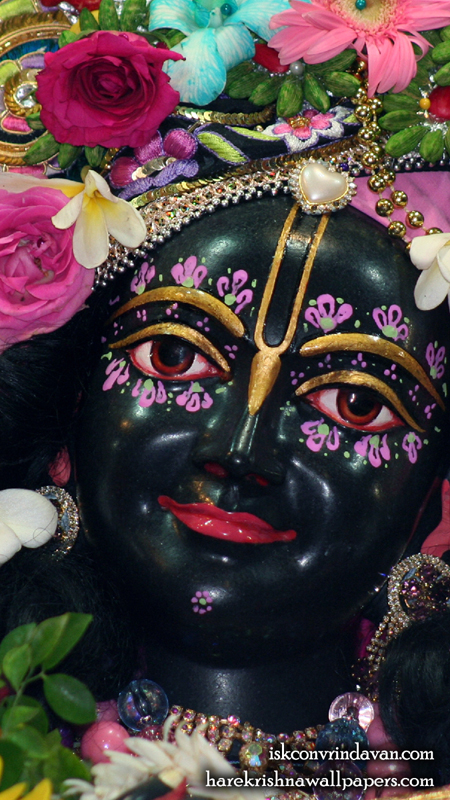 Sri Krishna Close up Wallpaper (011) Size 450x800 Download