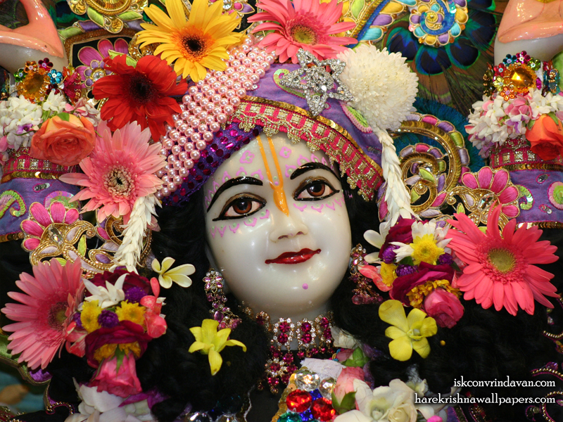 Sri Nitai Close up Wallpaper (011) Size 800x600 Download