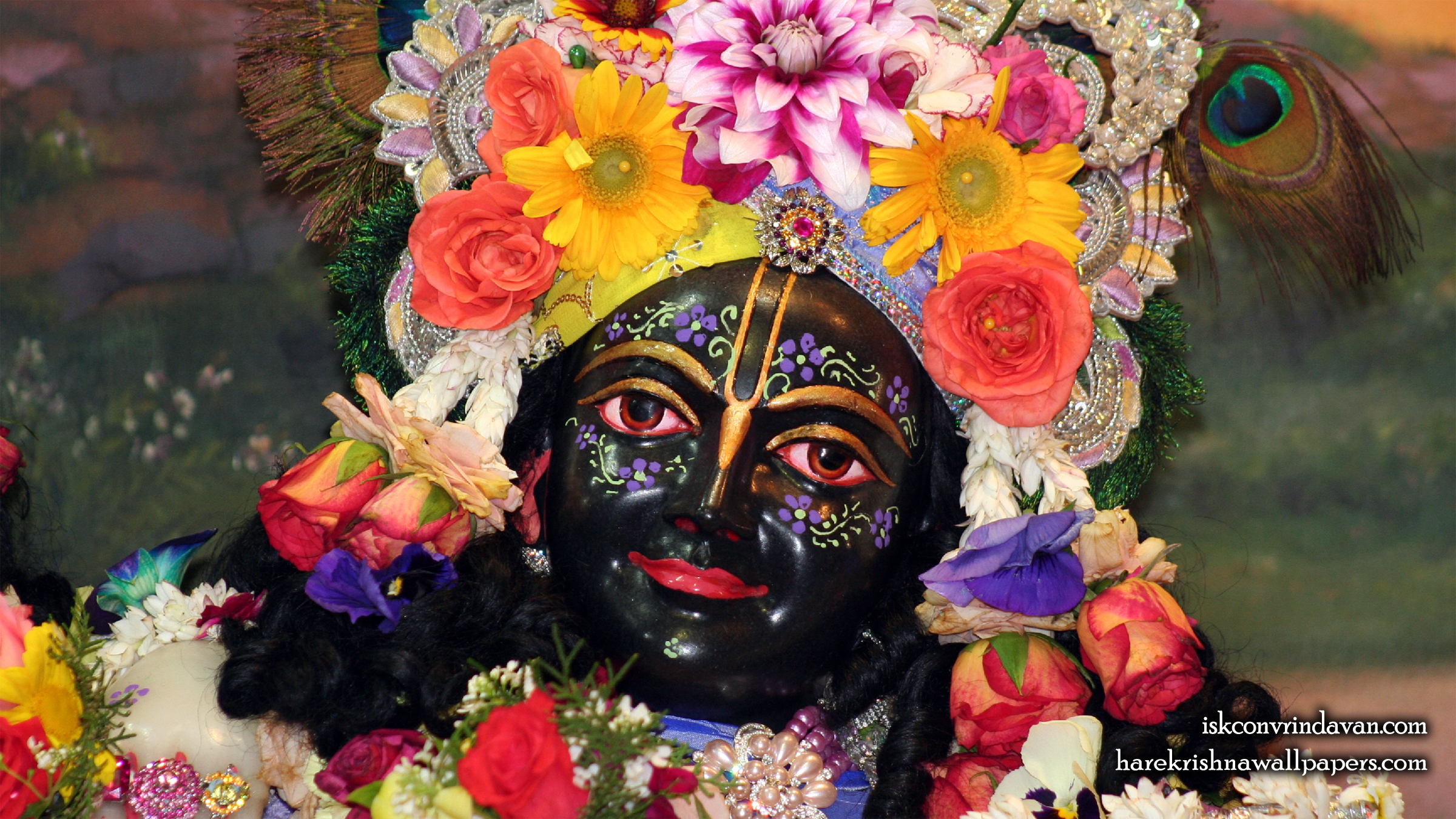 Sri Krishna Close up Wallpaper (012) Size 2400x1350 Download
