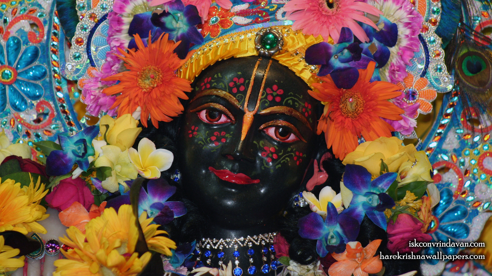 Sri Krishna Close up Wallpaper (013) Size 1600x900 Download