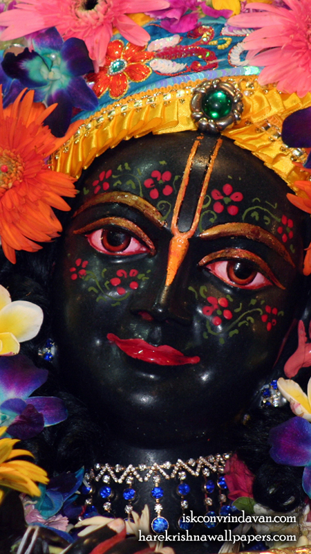 Sri Krishna Close up Wallpaper (013) Size 450x800 Download