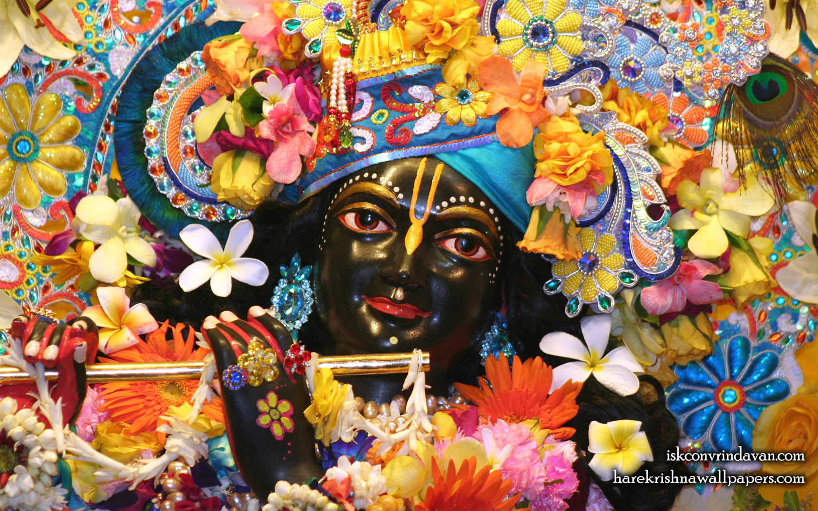 Sri Shyamsundar Close up Wallpaper (013) Size 1680x1050 Download