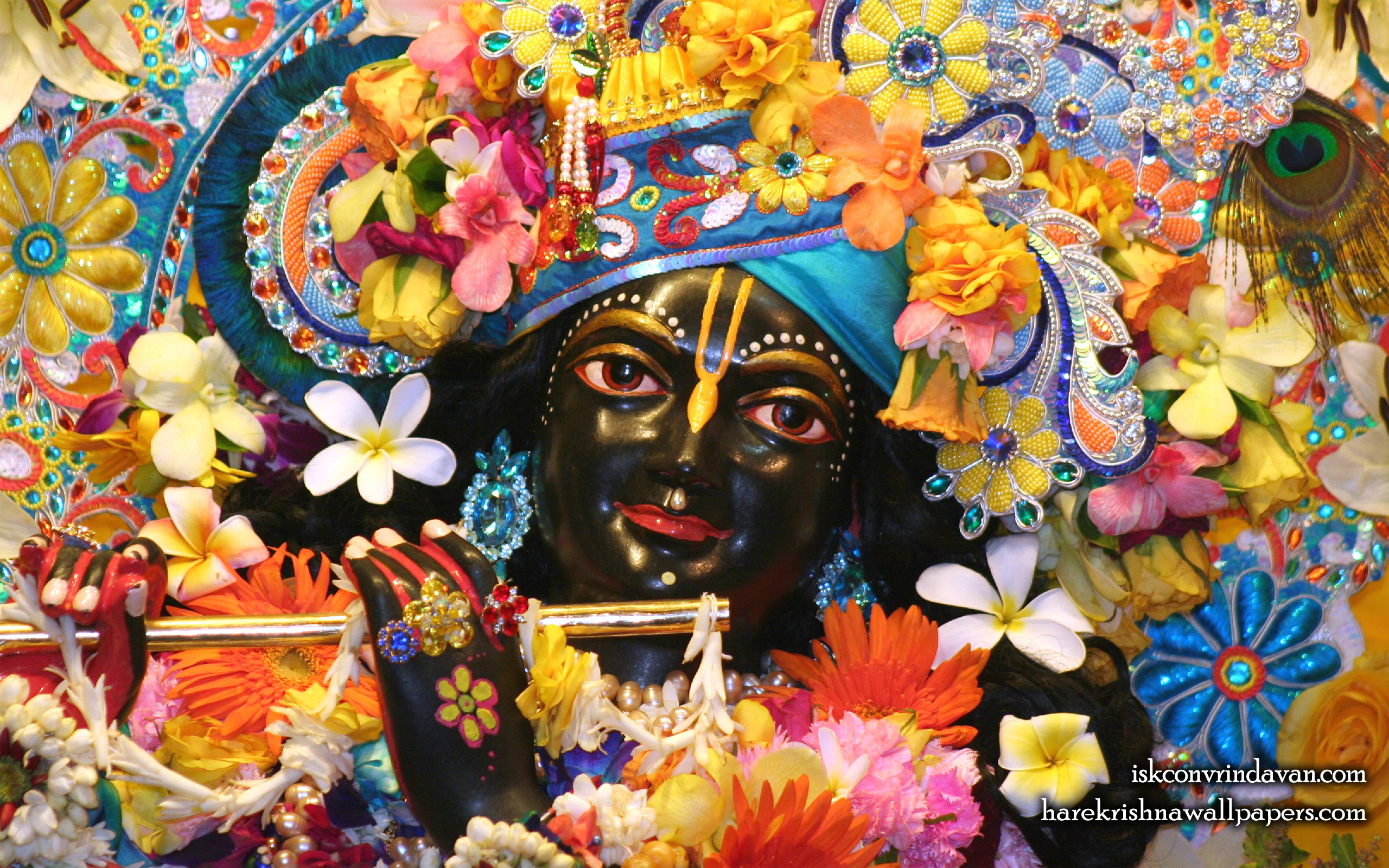 Sri Shyamsundar Close up Wallpaper (013) Size 2560x1600 Download