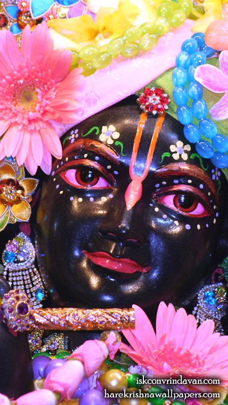 Sri Shyamsundar Close up Wallpaper (015) Size 450x800 Download