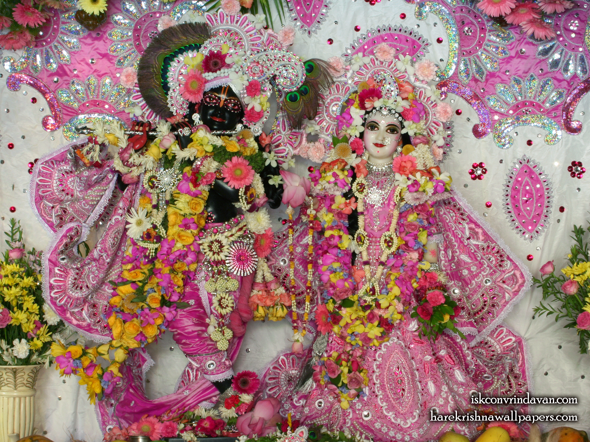Sri Sri Radha Shyamsundar Wallpaper (015) Size 2400x1800 Download