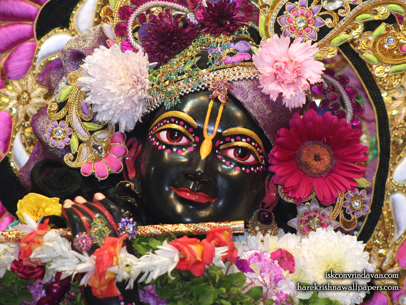Sri Shyamsundar Close up Wallpaper (016) Size 800x600 Download