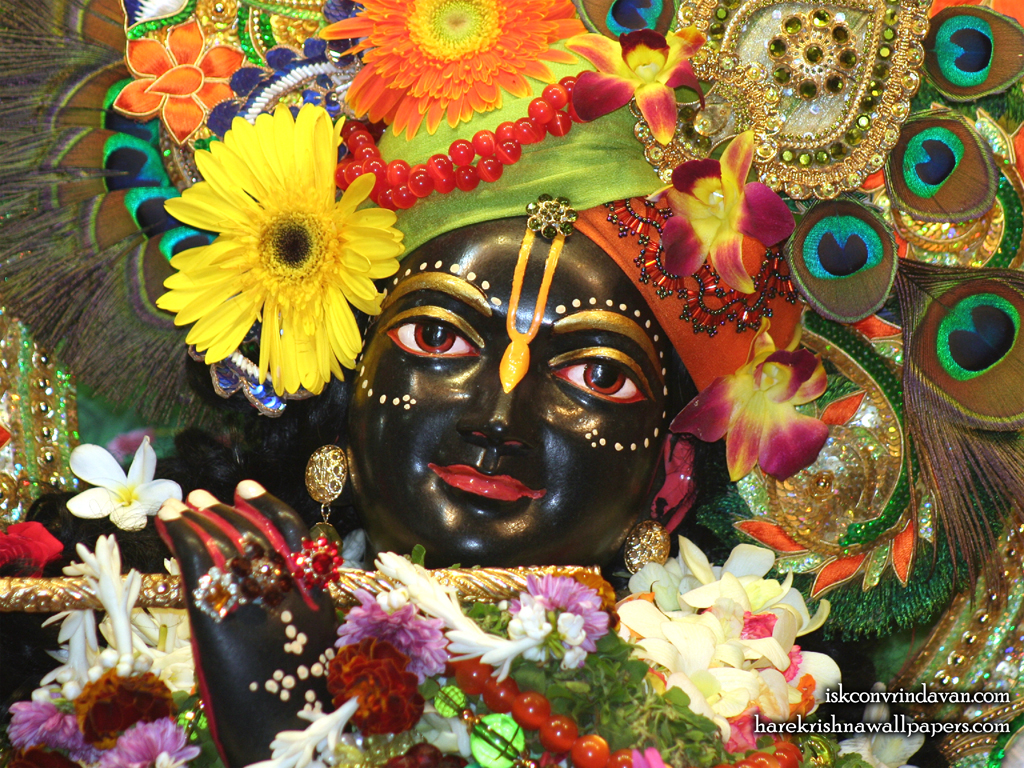 Sri Shyamsundar Close up Wallpaper (017) Size 1024x768 Download