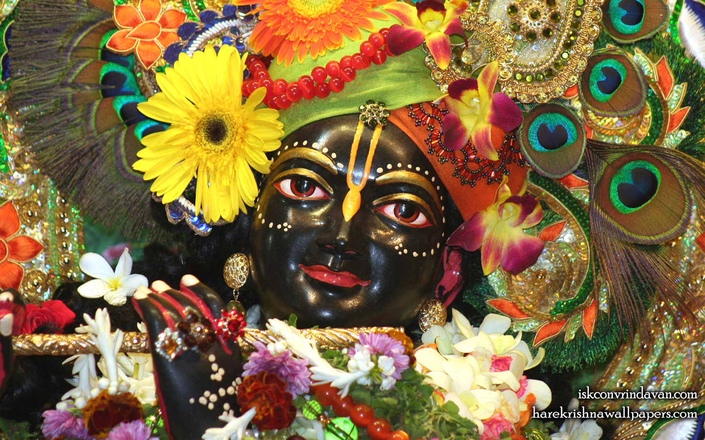 Sri Shyamsundar Close up Wallpaper (017) Size 1440x900 Download